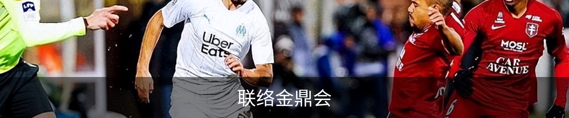 联络金鼎会